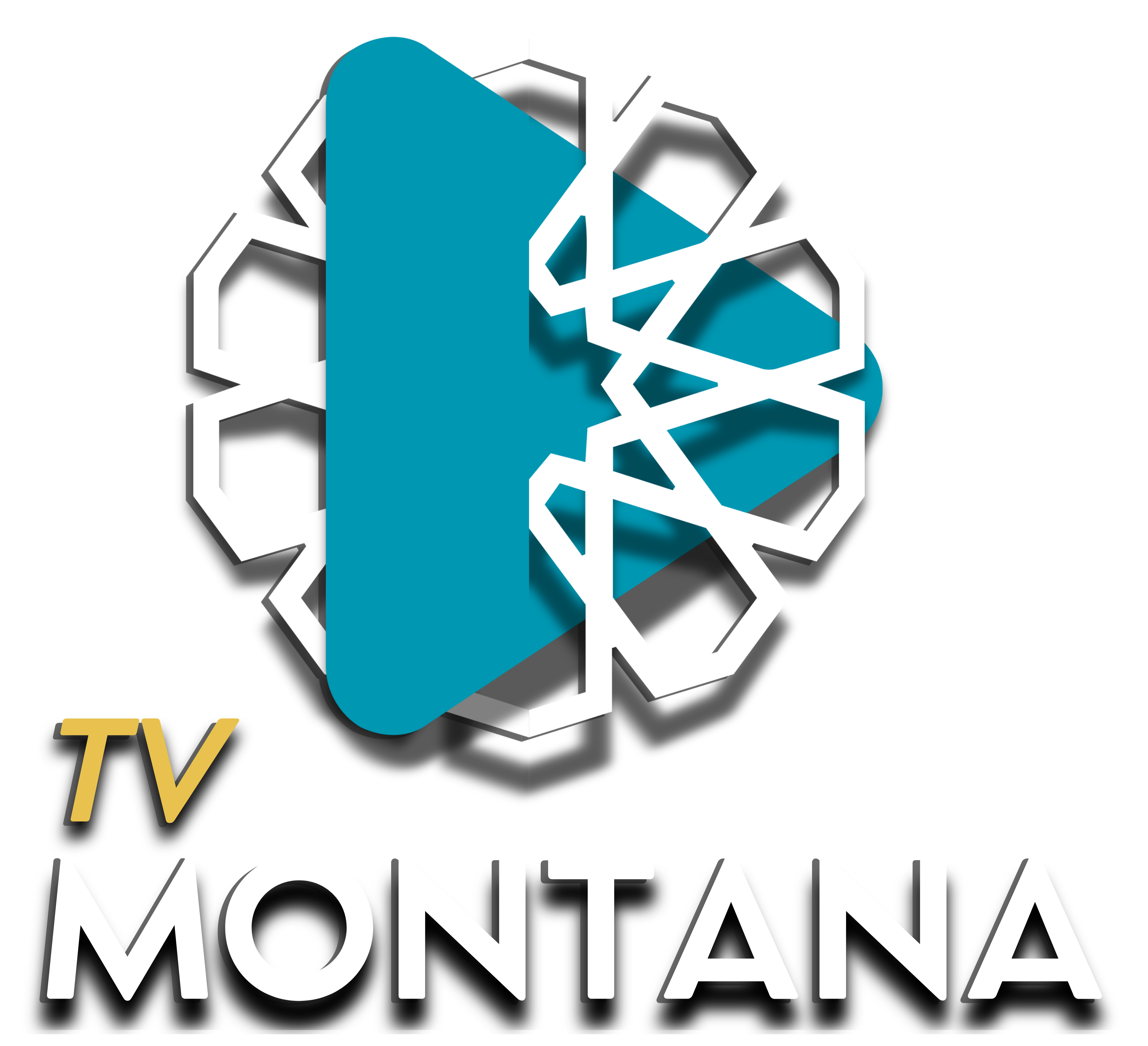 TV RADIO MONTANA