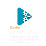 Montana TV Logo